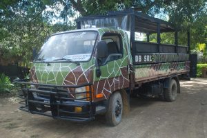 Carro safari