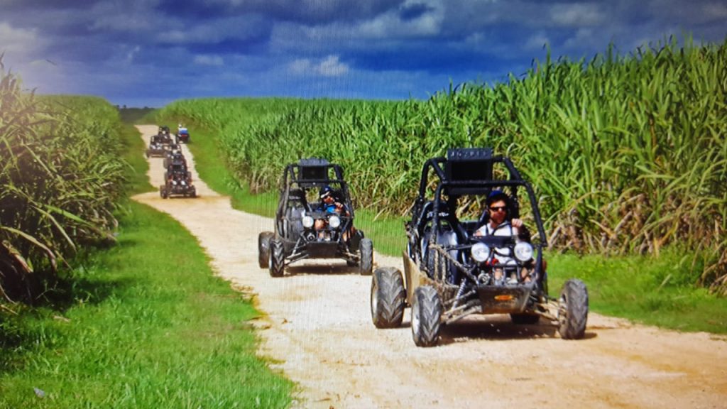 Tour in buggy