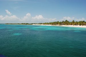 Tour en isla catalina