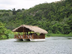 en el tour safari